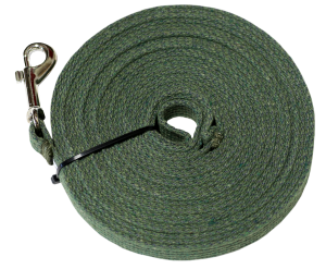 Leash PNG-72173